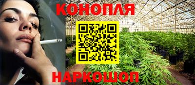 крисы Малоярославец