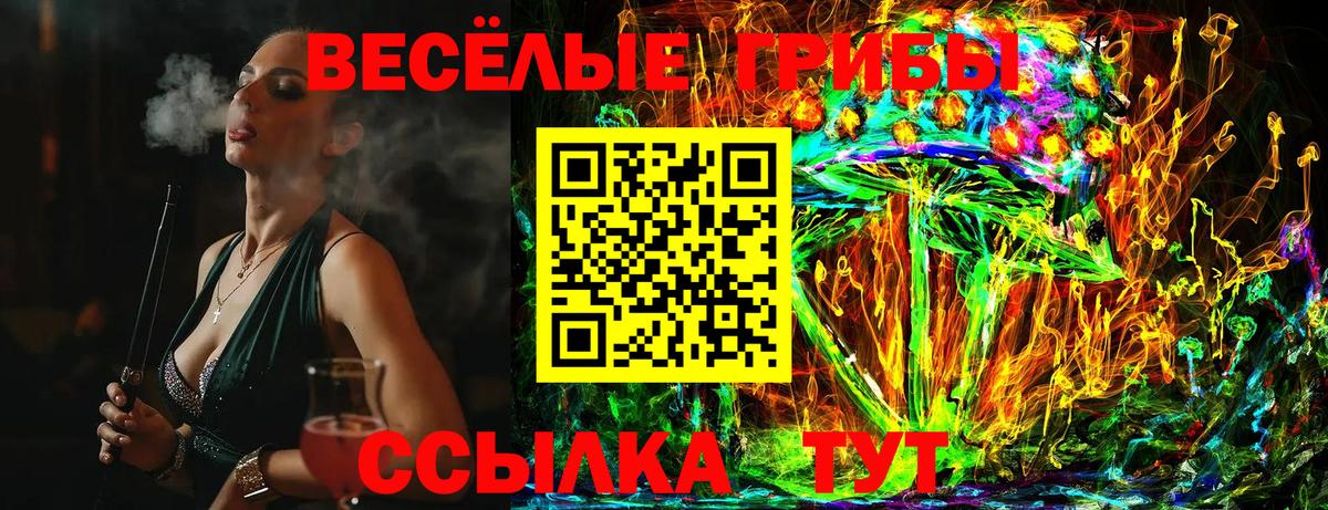 Ефремов  Псилоцибиновые грибы Psilocybe  Вход с VPN 