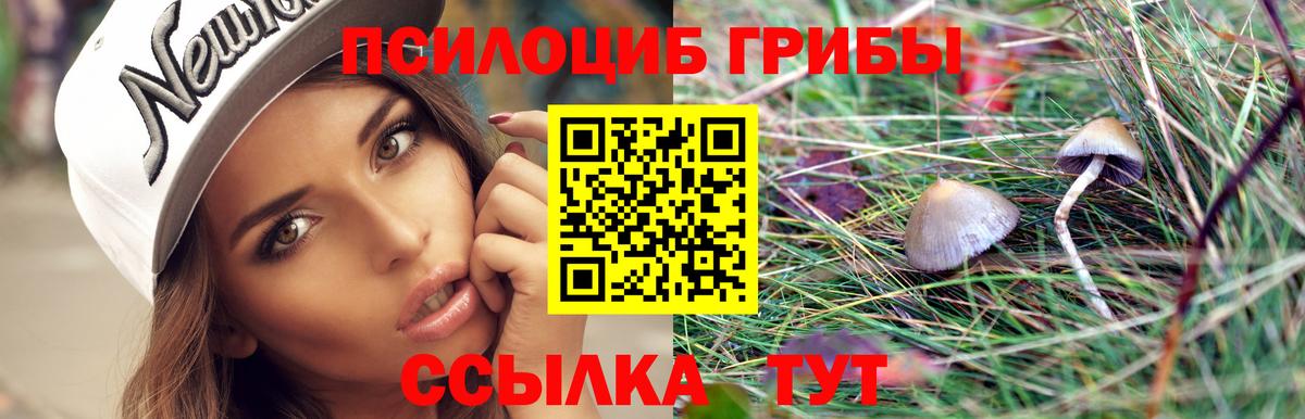 Галлюциногенные грибы ЛСД Ефремов